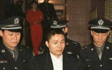 張君[渝湘鄂系列持槍搶劫殺人案首犯]