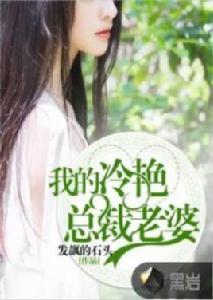 我的冷艷總裁老婆 我的冷艷總裁老婆