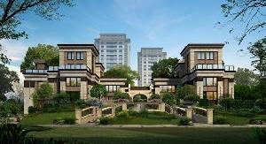 中合華府 中合華府