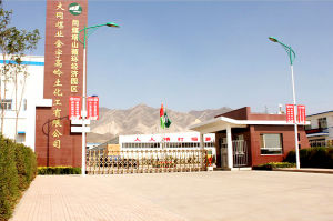 大同煤業股份有限公司