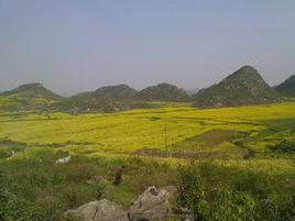 木崗工業園 木崗工業園