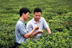 人物生活工作照