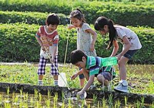 以人為本的華德福教育