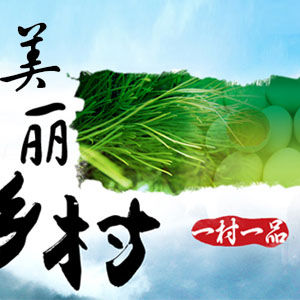 一村一品 一村一品