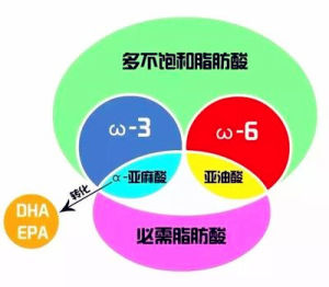 多不飽和脂肪酸 多不飽和脂肪酸
