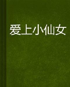 愛上小仙女 愛上小仙女