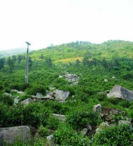 大石坪自然村 大石坪自然村
