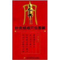 針灸經絡穴點陣圖解