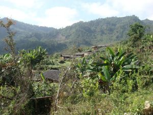 上三壩村 上三壩村
