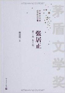 茅盾文學獎獲獎作品全集:張居正 茅盾文學獎獲獎作品全集:張居正