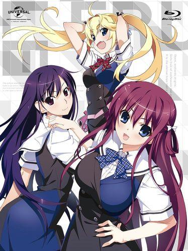 灰色的果實[8-bit改編的電視動畫作品]