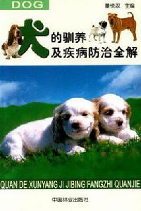 職場新人的入門忠告 職場新人的入門忠告