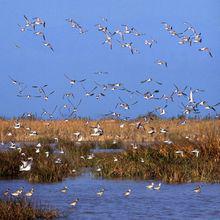長樂[福建省福州市長樂區]