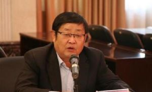 楊偉[甘肅嘉峪關市人大常委會主任]