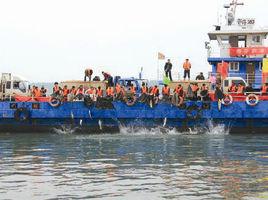 長江黃石段四大家魚國家級水產種質資源保護區 長江黃石段四大家魚國家級水產種質資源保護區