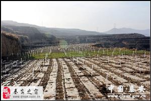 臥牛坪流域圖(二)