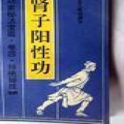 《腎子陽性功》 《腎子陽性功》