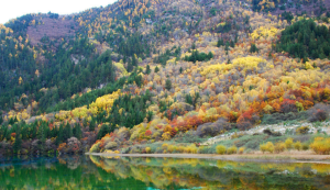 九寨溝國家級自然保護區