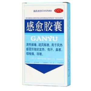 感愈膠囊 感愈膠囊