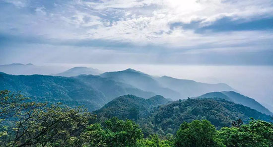《妻子的浪漫旅行》取景地,美到讓人想呆上一輩子!