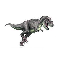 霸王龍類 霸王龍類