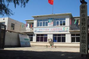 朝陽市盛野食品有限公司