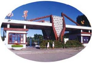 昌吉人民公園 昌吉人民公園