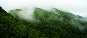 磐安源頭度假山莊 磐安源頭度假山莊