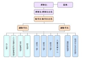 中國發展研究基金會組織結構圖