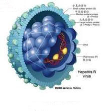 白球比例 白球比例
