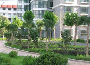 魯信文匯花園 魯信文匯花園