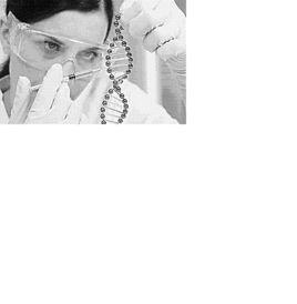 主任檢驗師 主任檢驗師