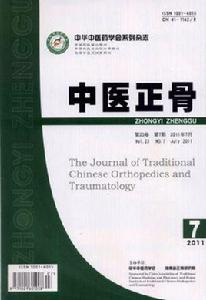 中醫正骨 中醫正骨
