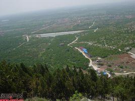 鹿樓村萬畝石榴園 鹿樓村萬畝石榴園