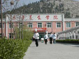 東方美食學院 東方美食學院