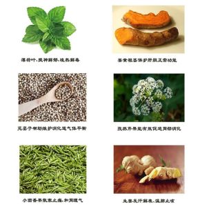 甘寶草木茶成分圖