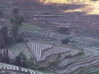 京竹林村村莊一角