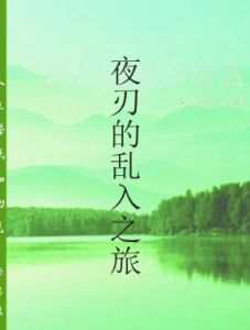 夜刃的亂入之旅 夜刃的亂入之旅