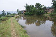 鹿鳴村[四川巴中通江縣瓦室鎮鹿鳴村]