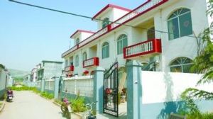 竹頭社區 竹頭社區