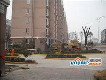 徐州水岸春天照片