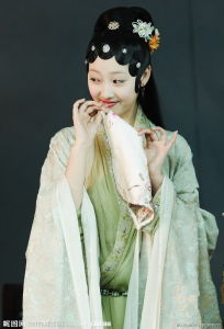 新版電視劇《紅樓夢》 新版電視劇《紅樓夢》