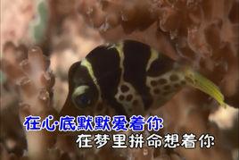 不要讓你知道[陳洲宏演唱歌曲]