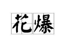 花爆 花爆