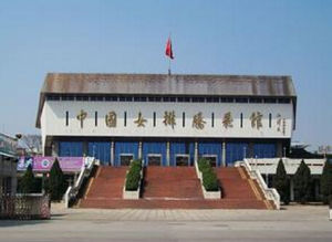 中國女排騰飛館 中國女排騰飛館