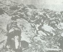 武漢會戰之萬家嶺大捷