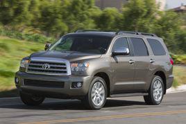 豐田紅杉 豐田紅杉