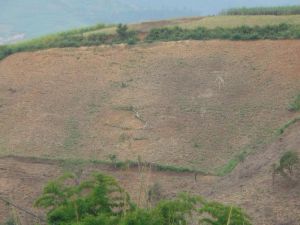 上芒糯村 上芒糯村