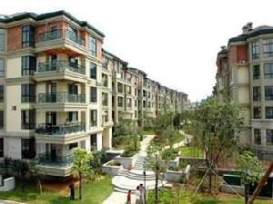 左鄰右里家園 左鄰右里家園