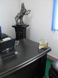 太陽花書 太陽花書